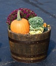 Antique Apple Bucket as a Planter